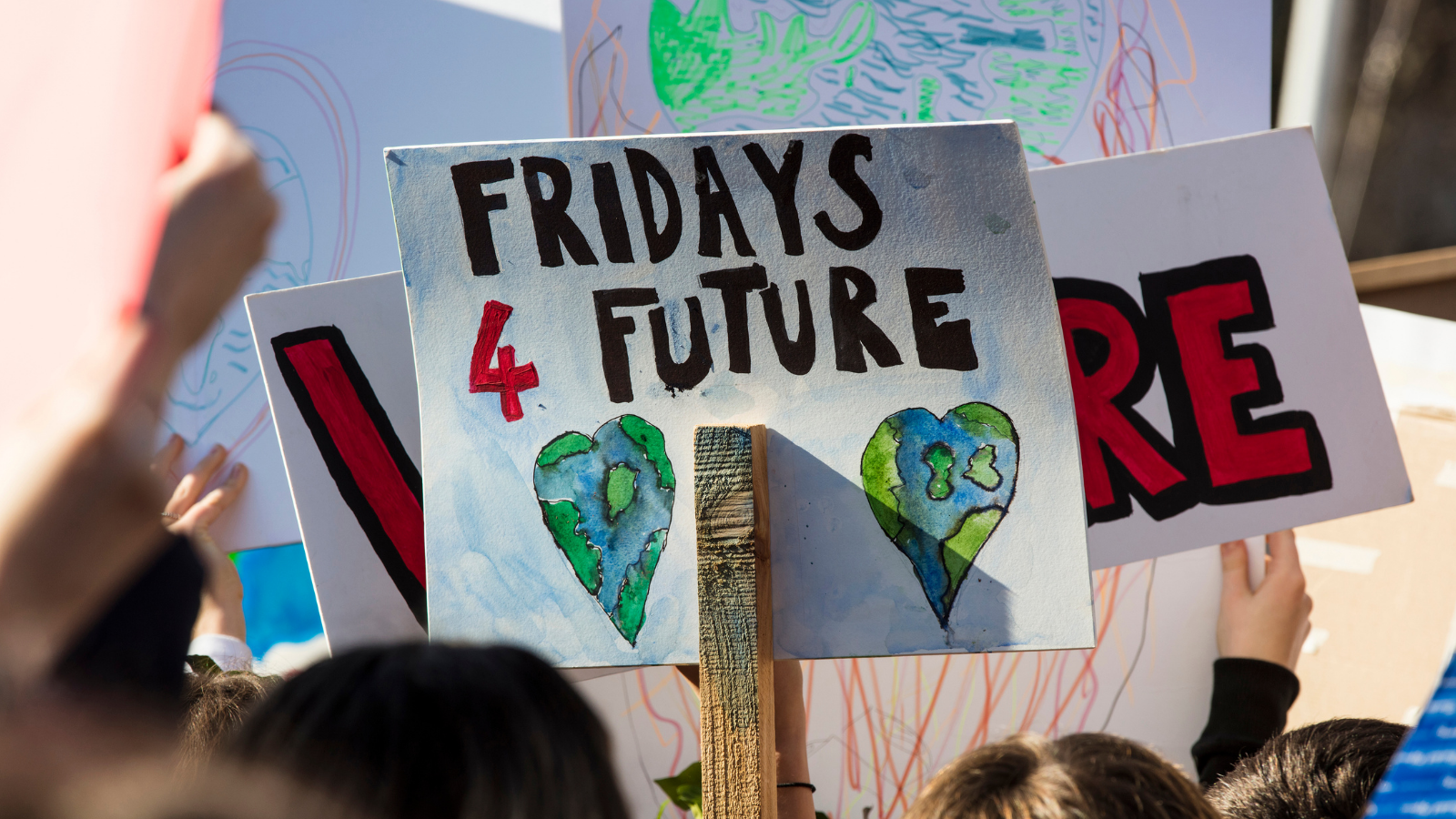 Stockport Climate Crisis